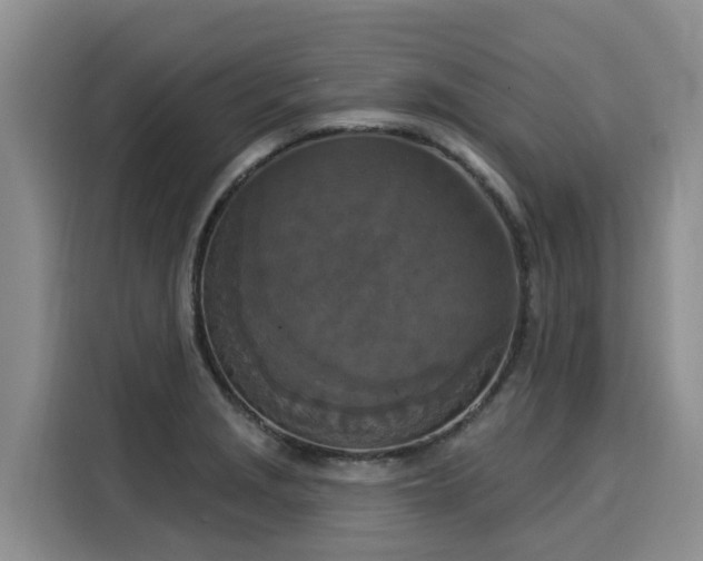 X0000116031229200911271129
