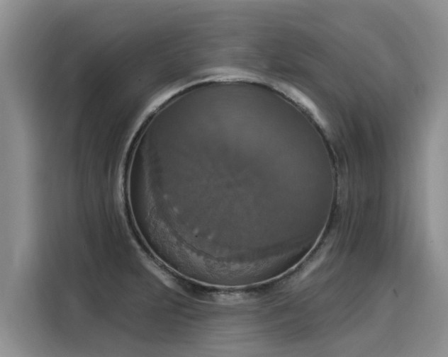 X0000116031231200911271129