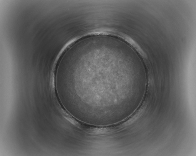 X0000116031232200911271129