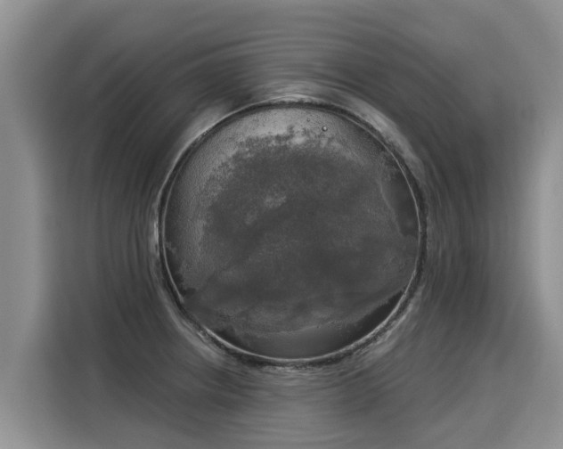 X0000116031234200911271129