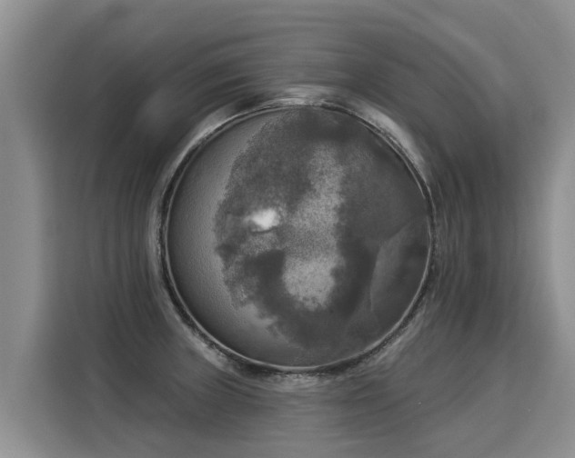 X0000116031235200911271129
