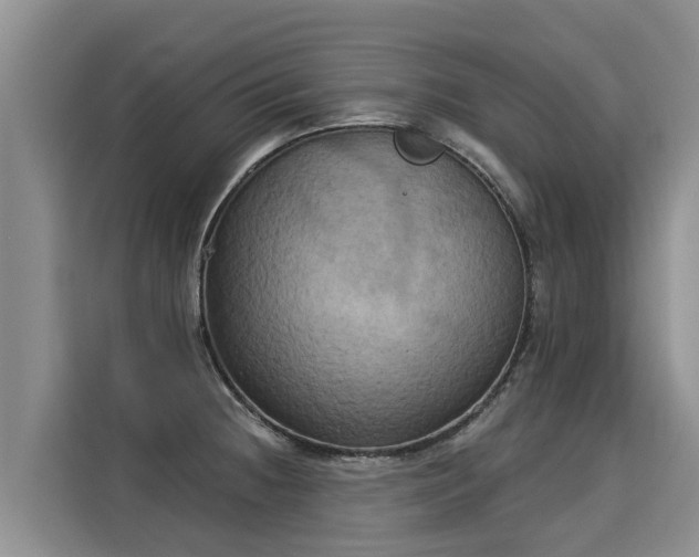X0000116031236200911271129