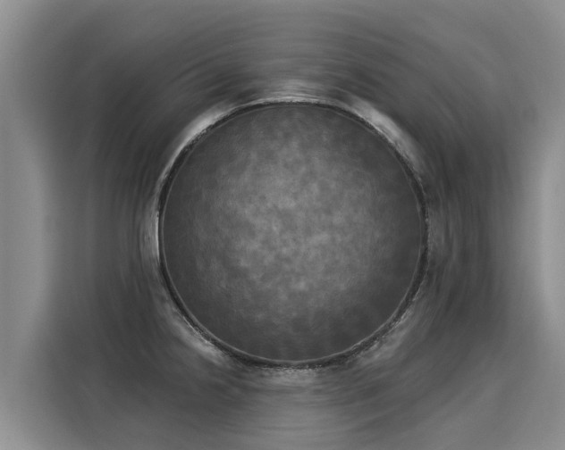 X0000116031238200911271129