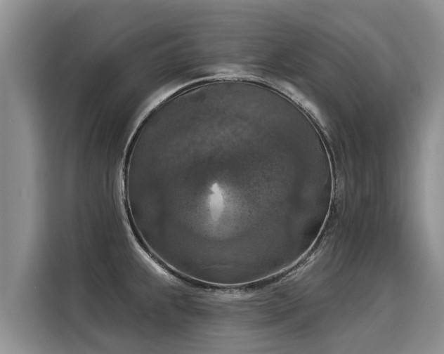 X0000116031239200911271129