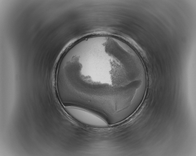 X0000116031240200911271129
