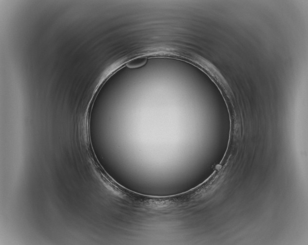 X0000116031242200911271129