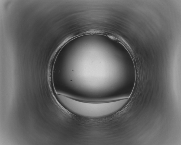 X0000116031243200911271129