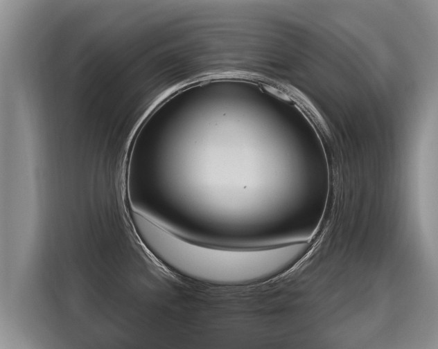 X0000116031244200911271129