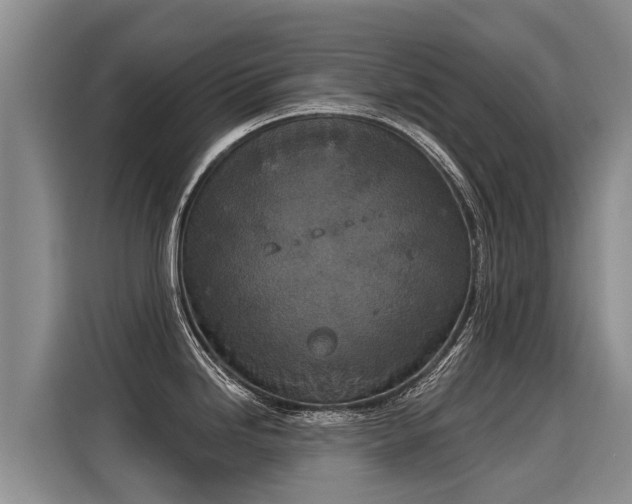 X0000116031246200911271129