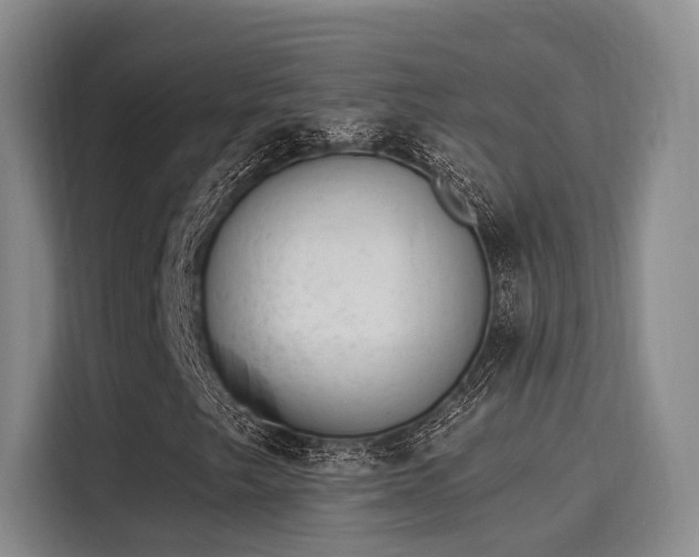 X0000116031249200911271129