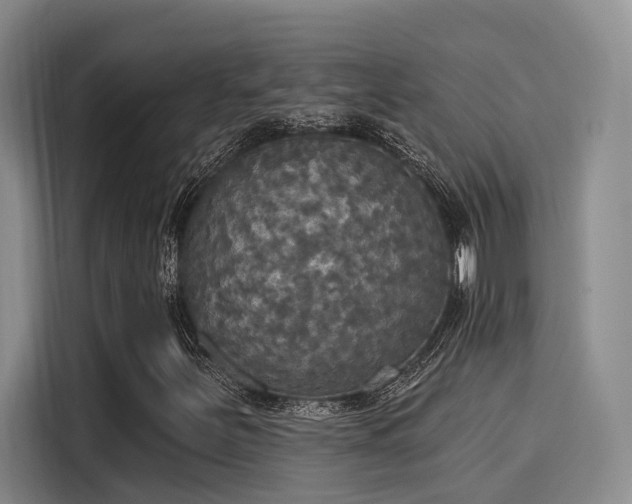 X0000116031251200911271129
