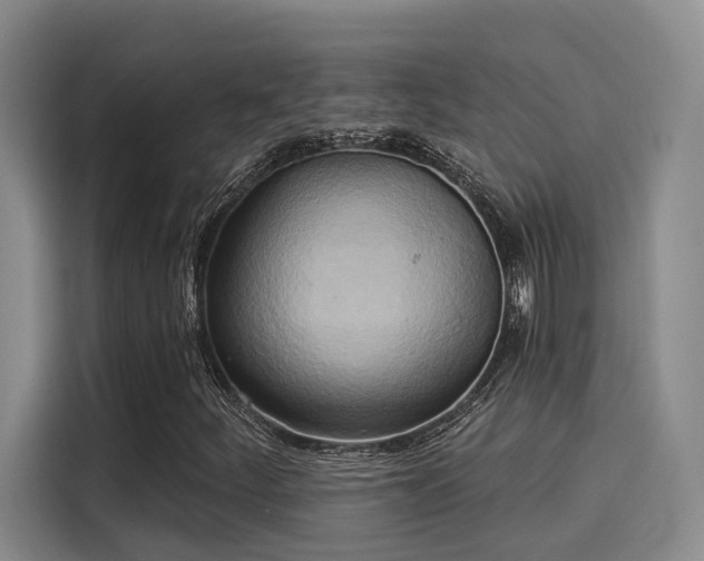 X0000116031252200911271129