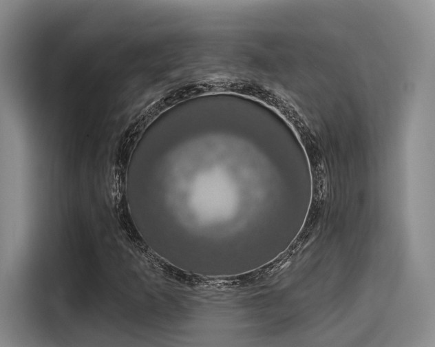 X0000116031253200911271129