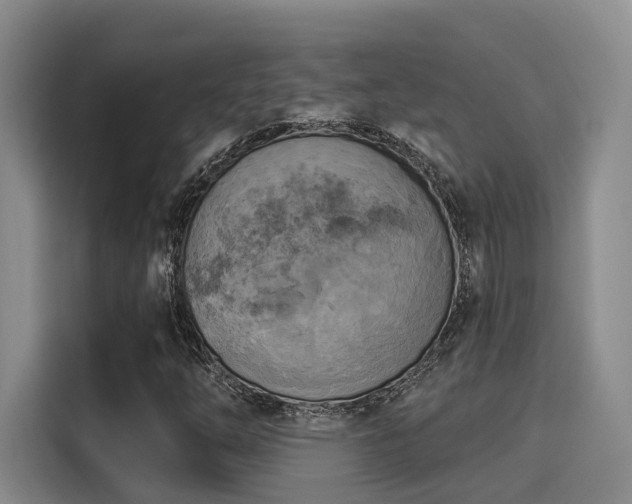 X0000116031254200911271129