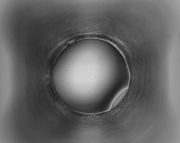 X0000116031255200911271129