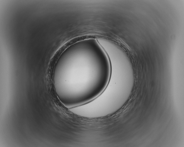X0000116031256200911271129