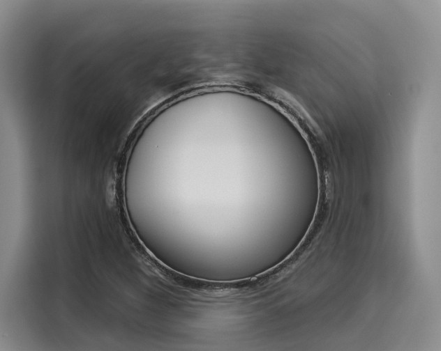 X0000116031260200911271129