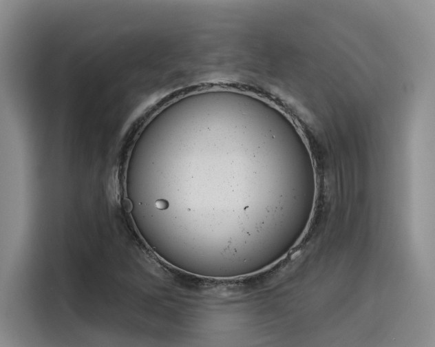 X0000116031262200911271129