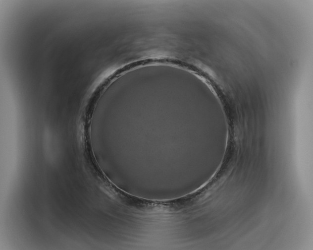 X0000116031263200911271129