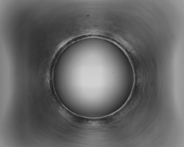 X0000116031264200911271129