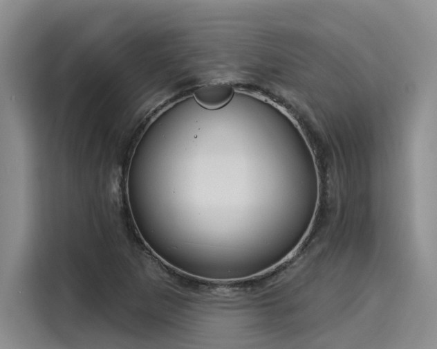 X0000116031265200911271129