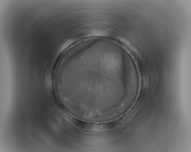 X0000116031266200911271129