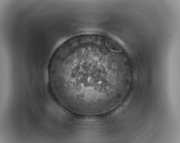 X0000116031267200911271129
