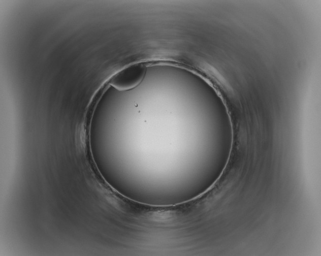 X0000116031268200911271129