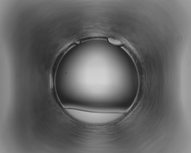 X0000116031269200911271129