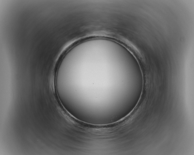 X0000116031272200911271129