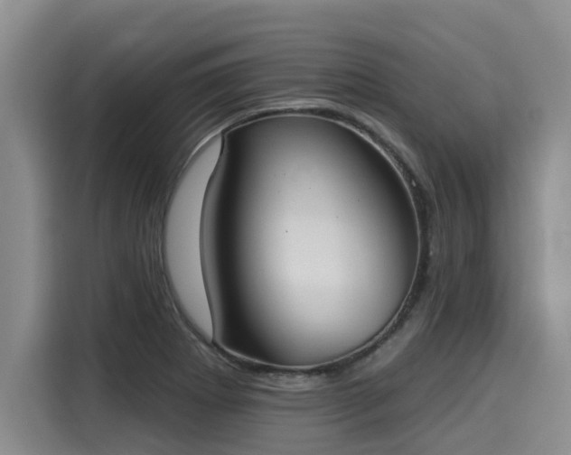 X0000116031273200911271129
