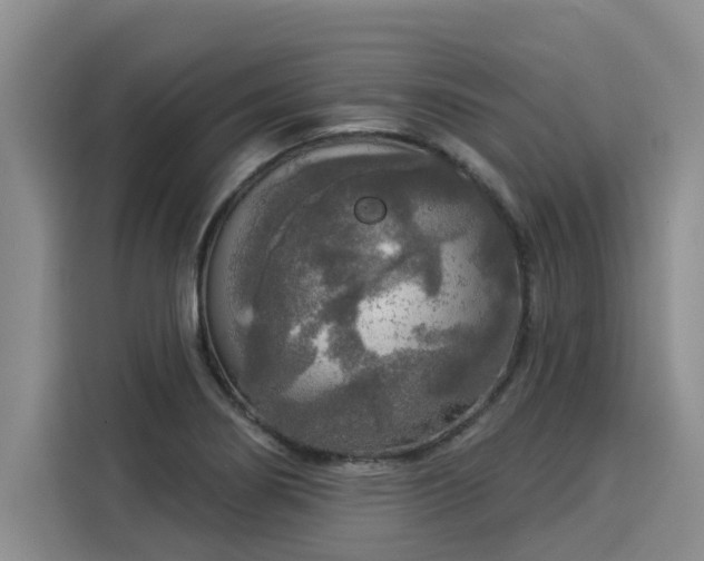 X0000116031274200911271129