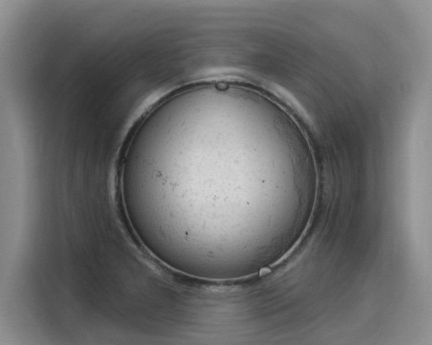 X0000116031277200911271128