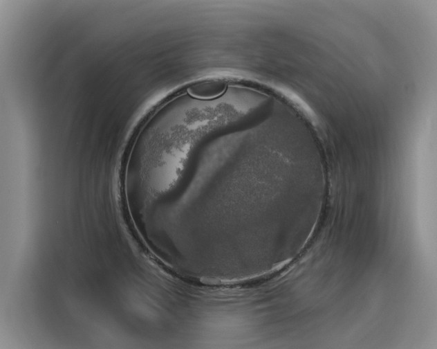 X0000116031279200911271128