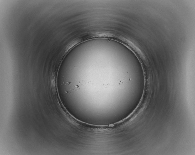 X0000116031281200911271128