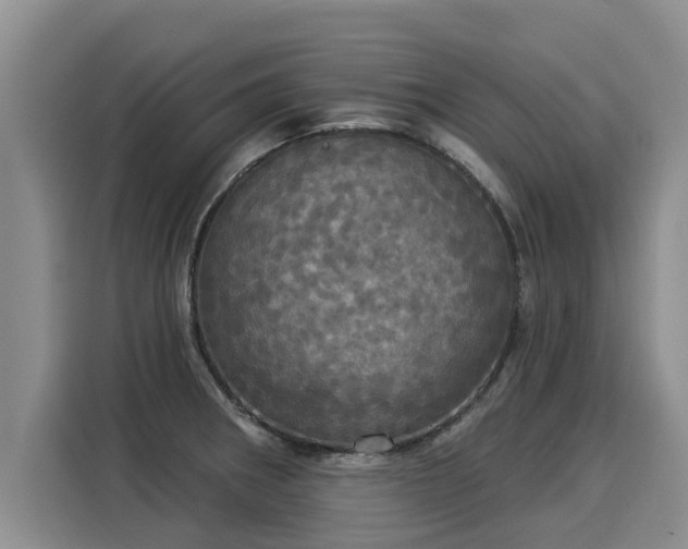 X0000116031282200911271128