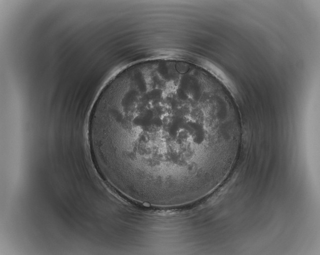 X0000116031283200911271128