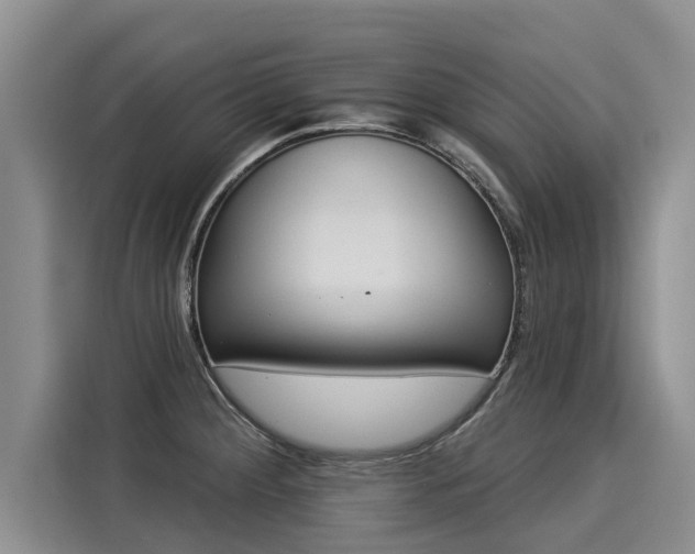 X0000116031284200911271128