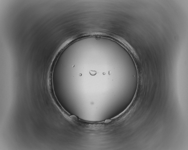 X0000116031285200911271128