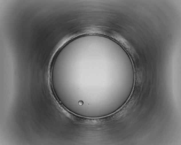 X0000116031286200911271128