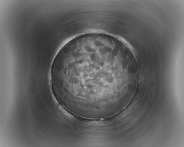 X0000116031287200911271128