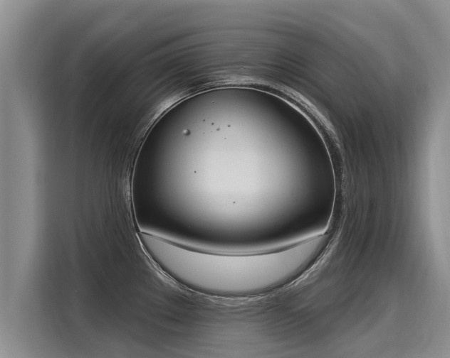 X0000116031289200911271128