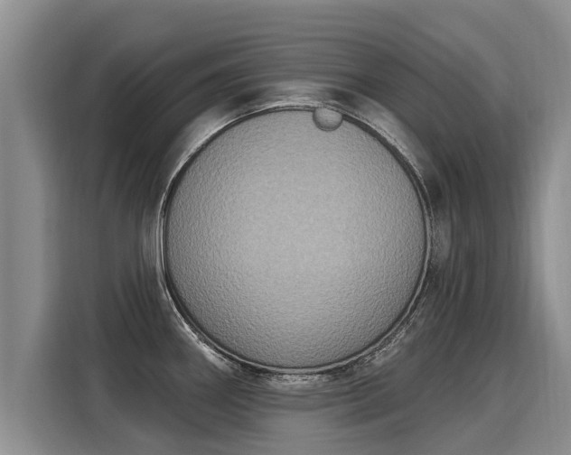 X0000116031290200911271128