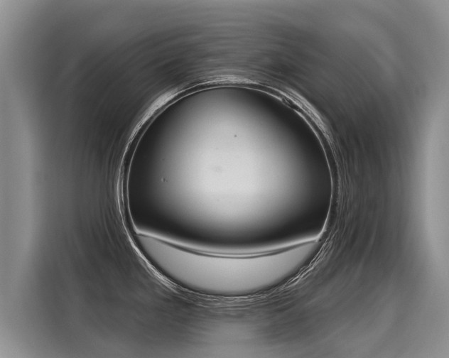 X0000116031293200911271128