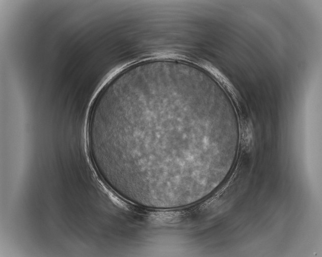 X0000116031294200911271128