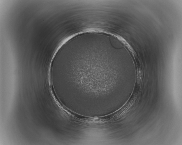 X0000116031295200911271128
