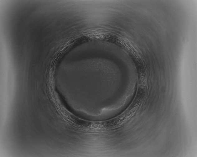 X0000116031297200911271128