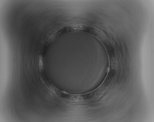 X0000116031298200911271128