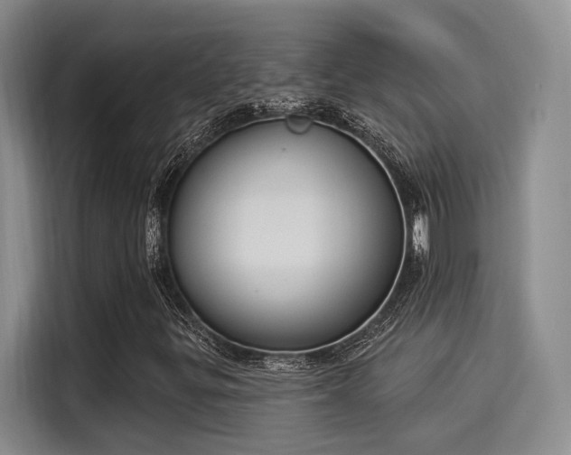 X0000116031299200911271128