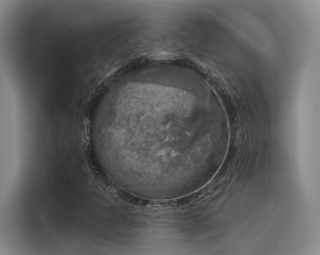 X0000116031301200911271128